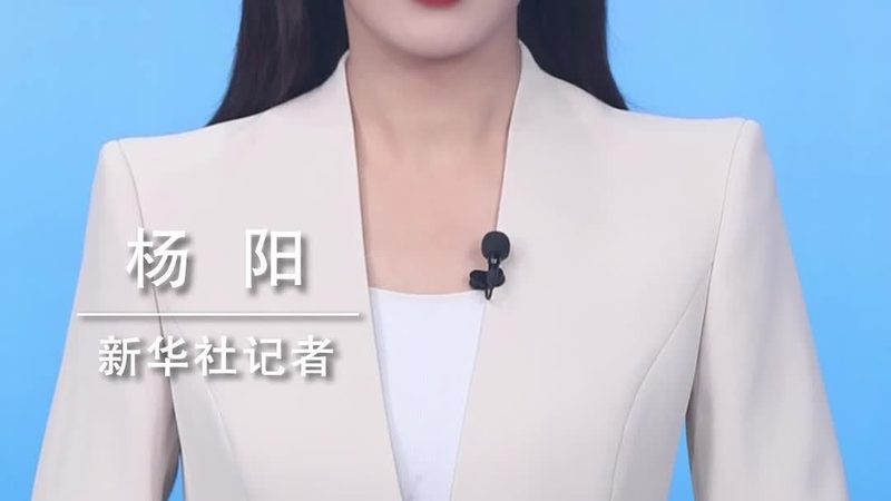 软件测试文档模板：构建高效测试流程的基石